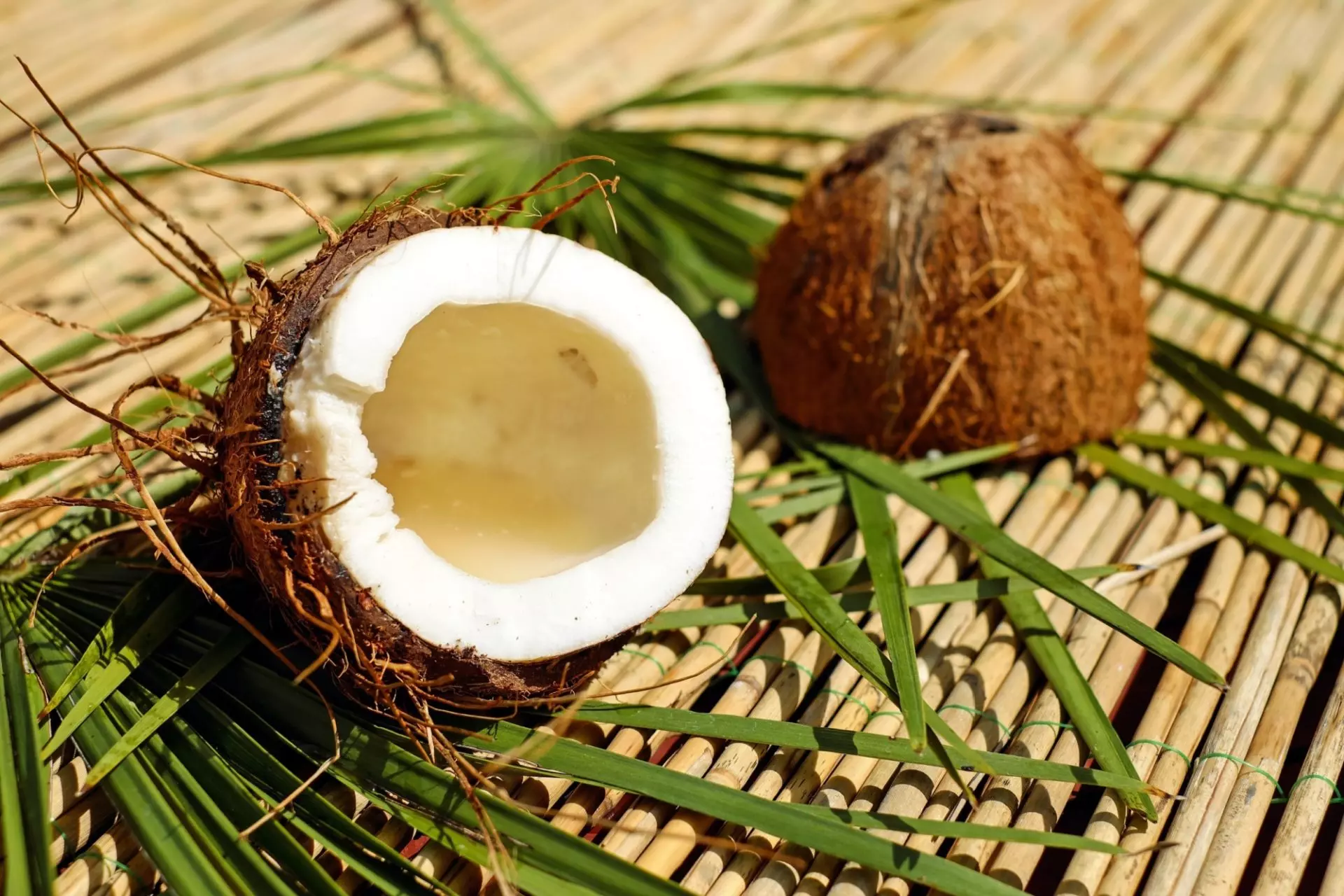 noce di cocco tagliata a metà