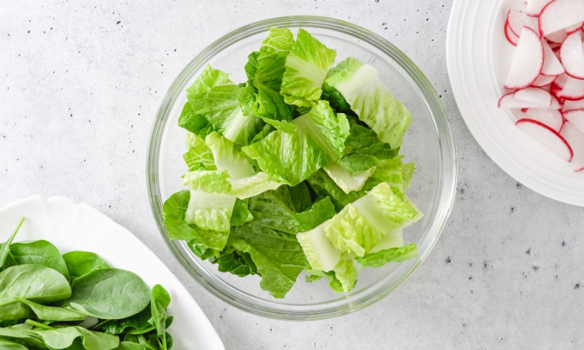 insalata