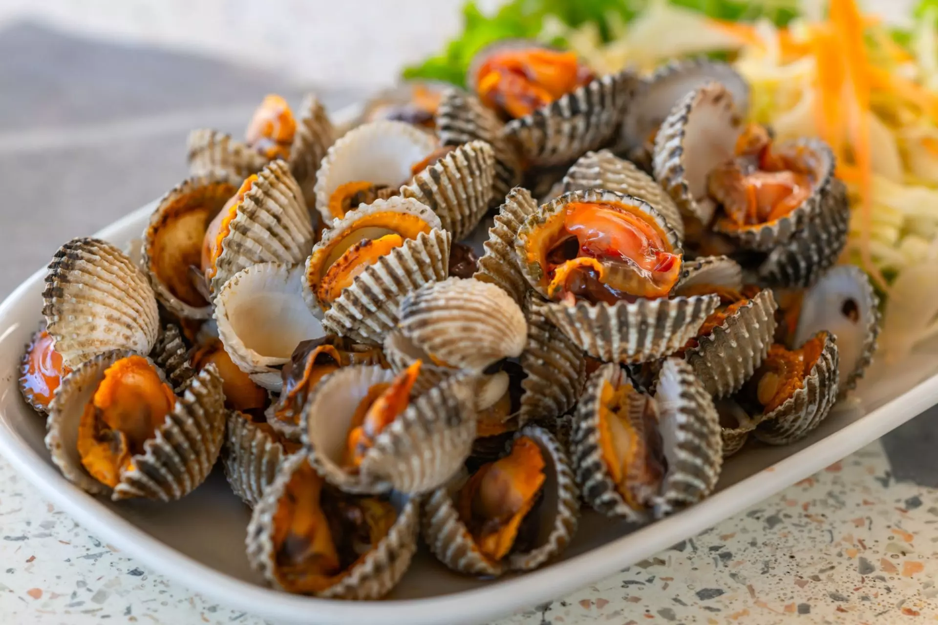 telline di mare